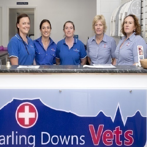 Darling Downs Vets – Two New Locations