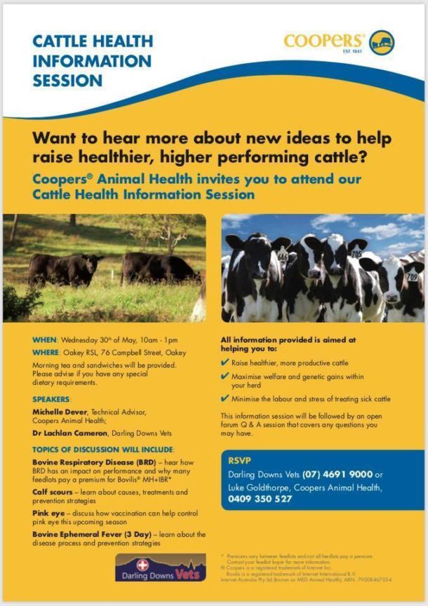 Cattle Health Information Session Darling Downs Vets