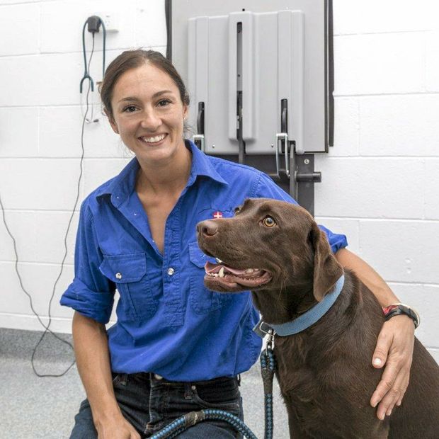 Vet clinic puts paws first in move to Oakey CBD