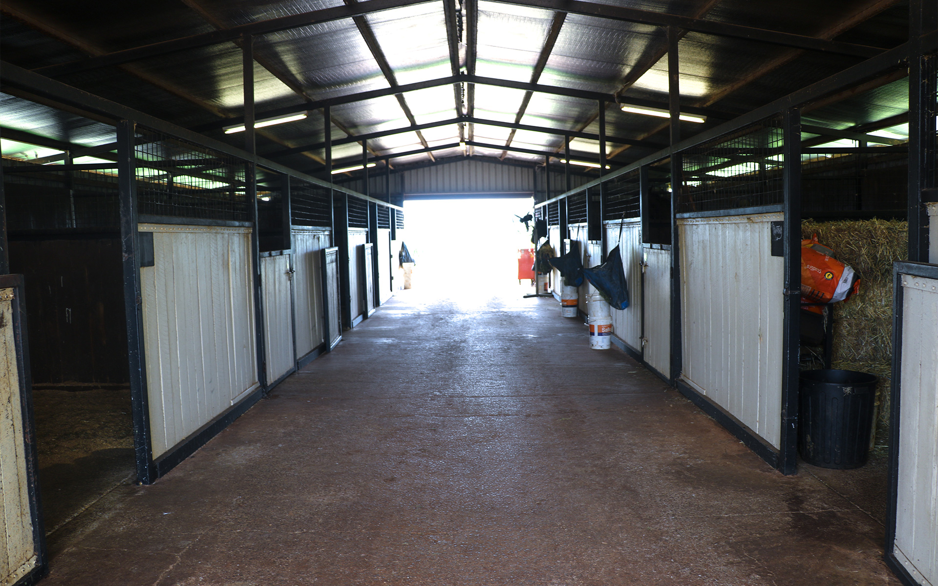 Darling Downs Vets - Wellcamp Equine Unit Darling Downs Vets - Wellcamp Equine Unit